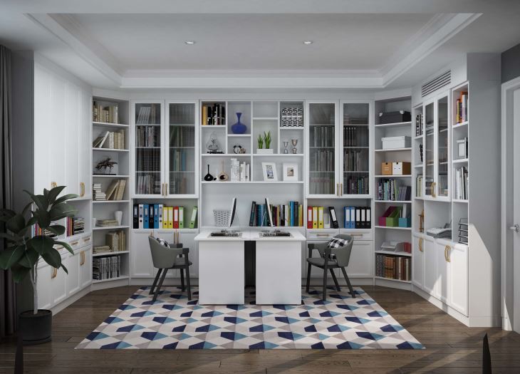 Modern Customized Bookcase