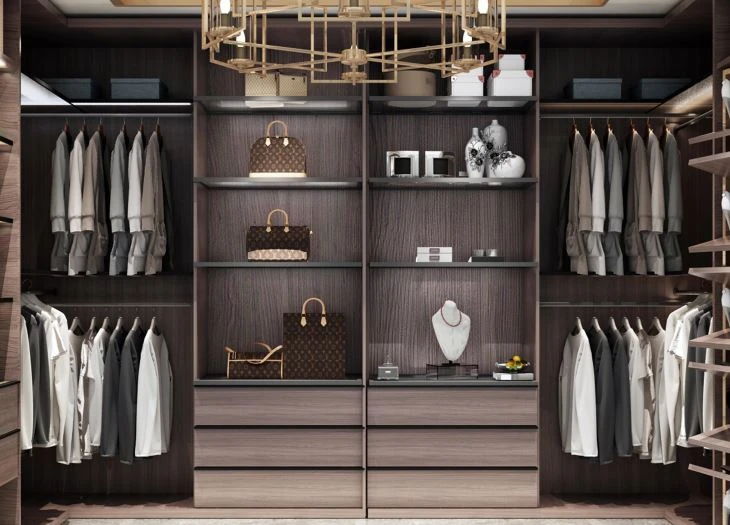 Modern Walk-In Closets