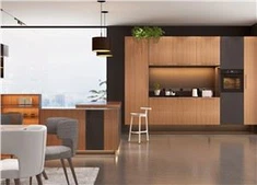 Woodgrain teksti Melamine kabinè